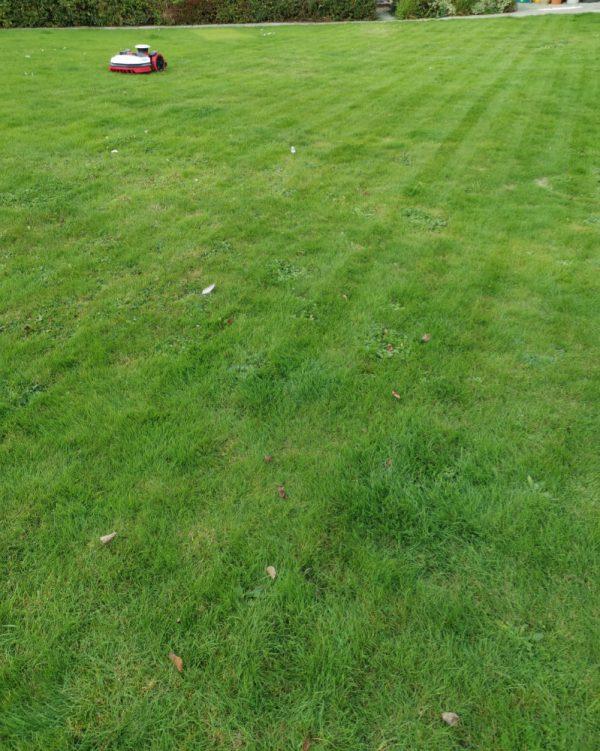Kress Misson RTK KR174E - Image 4